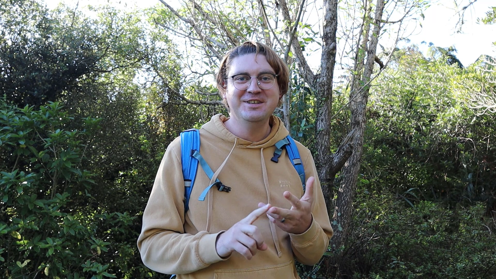 Explaining concepts while in New Zealand forest